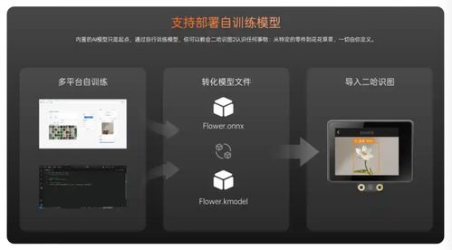 蘑菇云荣膺教育强国论坛2025年度科技创新教育品牌，以创新产品赋能人工智能通识教育与应用软件开发