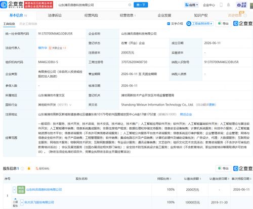 科大讯飞在山东成立信息科技公司,含集成电路芯片业务